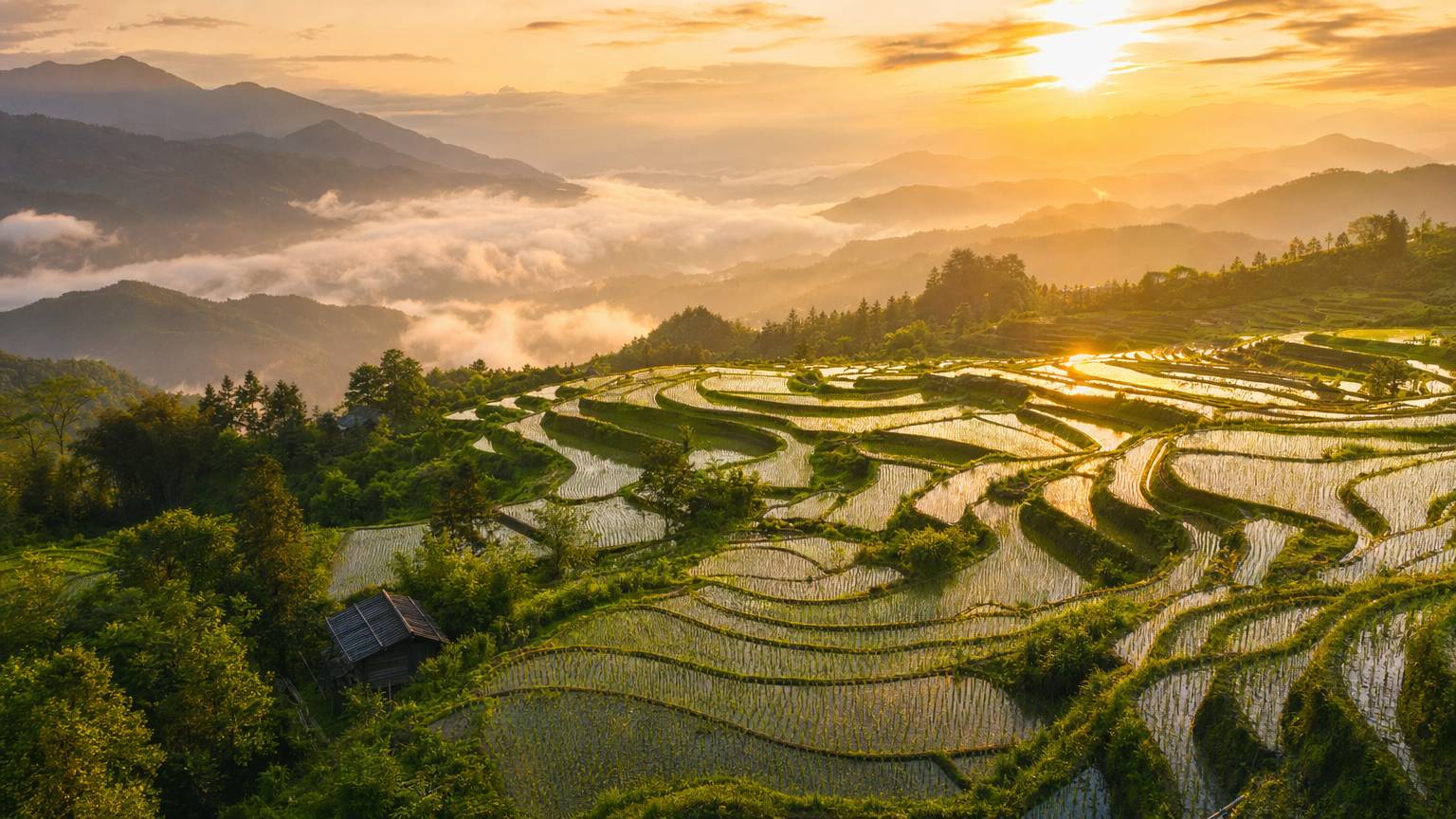 平台旅行网红热播
